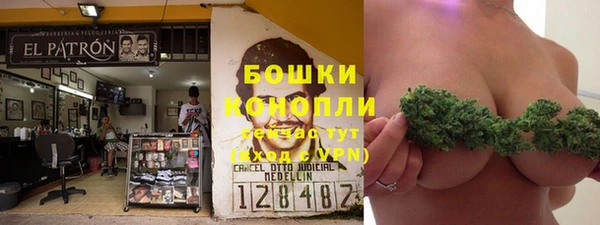 прущие грибы Алзамай