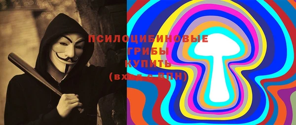 прущие грибы Алзамай
