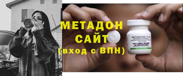 прущие грибы Алзамай