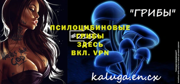 прущие грибы Алзамай