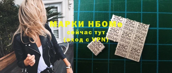 прущие грибы Алзамай